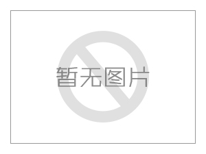 椰殼活性炭